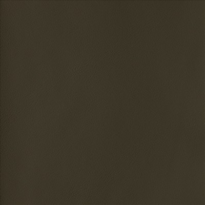 Kasmir BY DESIGN        CHOCOLATE       